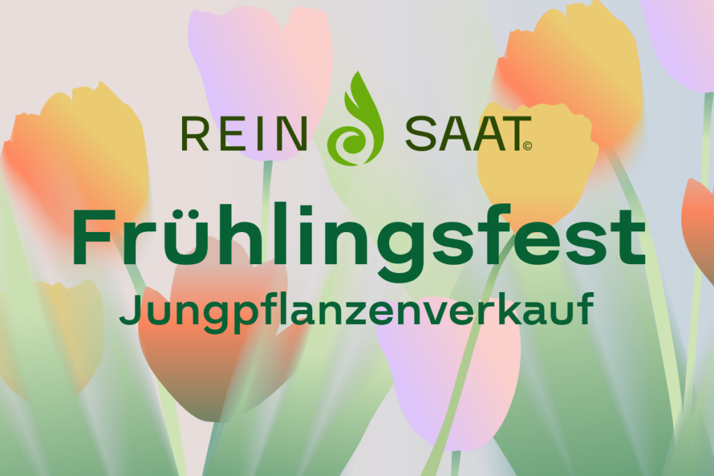 reinsaat1